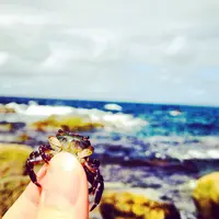 男鹿半島の写真・動画_image_151470