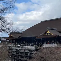 清水寺の写真・動画_image_1519281