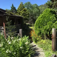 香寺ハーブガーデンの写真・動画_image_151945