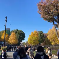 上野恩賜公園（上野公園）の写真・動画_image_1520713