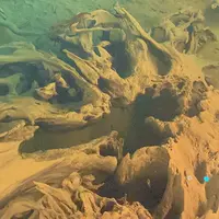 魚津埋没林博物館の写真・動画_image_1521455