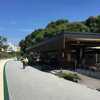 スターバックスコーヒー 福岡大濠公園店（STARBUCKS COFFEE）の写真・動画_image_152418