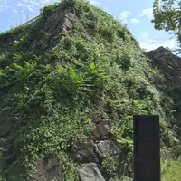 福岡城跡の写真・動画_image_152422