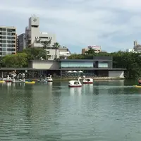 レンタルボートの写真・動画_image_152423