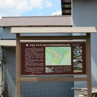 養父市大屋町大杉伝統的建造物群保存地区の写真・動画_image_1526164