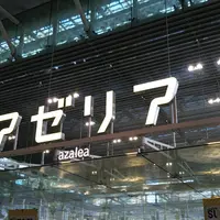 アゼリアの写真・動画_image_1526190