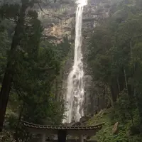 那智の滝の写真・動画_image_152687