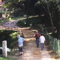 金山城址の写真・動画_image_152773