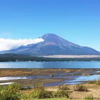 山中湖一周遊覧『白鳥の湖』の写真・動画_image_153345