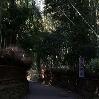 嵯峨野竹林の写真・動画_image_153551
