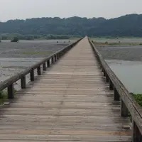 蓬莱橋の写真・動画_image_153812