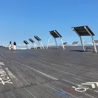 横浜港大さん橋国際客船ターミナル（大さん橋）の写真・動画_image_1538772