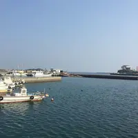 大阪湾の写真・動画_image_154173