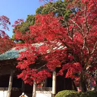 東山寺の写真・動画_image_154189
