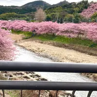 かわづいでゆ橋の写真・動画_image_1542343