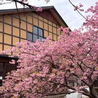 踊り子温泉会館の写真・動画_image_1542344