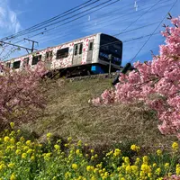 河津駅の写真・動画_image_1542727