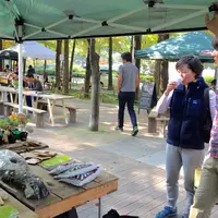 ミドリカフェの写真・動画_image_154525