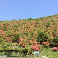 恵山つつじ公園の写真・動画_image_154898
