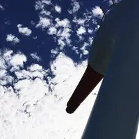 山中湖一周遊覧『白鳥の湖』の写真・動画_image_155501