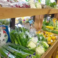 まちの駅 新 鹿沼宿の写真・動画_image_155684