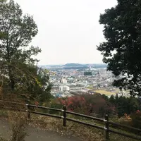 富士山公園の写真・動画_image_155692