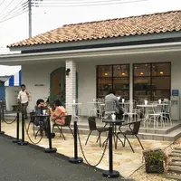 Honey Bの写真・動画_image_155706