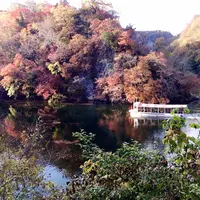 帝釈峡の写真・動画_image_155926