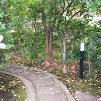 芝公園の写真・動画_image_156279