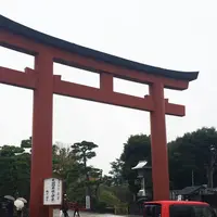 鶴岡八幡宮の写真・動画_image_156429