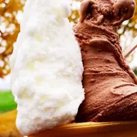 久保アグリファーム アルトピアーノの写真・動画_image_156450