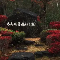 もみのき森林公園の写真・動画_image_156451