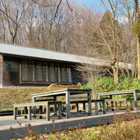 SAYS FARMの写真・動画_image_1564745