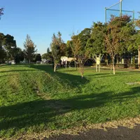 篠崎公園の写真・動画_image_156678