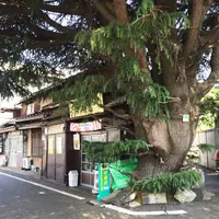 谷中のまちなみの写真・動画_image_156764