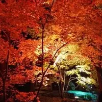 円通院の写真・動画_image_156771