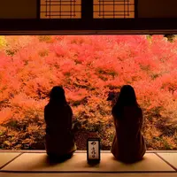 但馬安国寺の写真・動画_image_157007