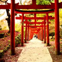 出石城の写真・動画_image_157012