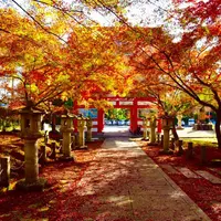 高山寺の写真・動画_image_157013