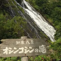 オシンコシンの滝の写真・動画_image_157031