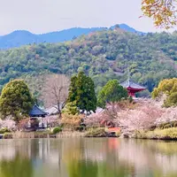 大覚寺の写真・動画_image_1571547