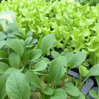 アグリー農園の写真・動画_image_157185