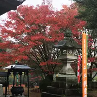 寂光院の写真・動画_image_157246