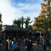 シェイクシャック 外苑いちょう並木店 （SHAKE SHACK）の写真・動画_image_157375