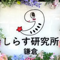 しらす研究所鎌倉の写真・動画_image_1574058