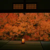 但馬安国寺の写真・動画_image_157410