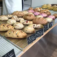 oval の写真・動画_image_157427