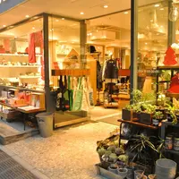 BASIC and ACCENTの写真・動画_image_157579