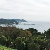 披露山公園の写真・動画_image_157615