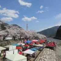 智頭河畔の写真・動画_image_1577534